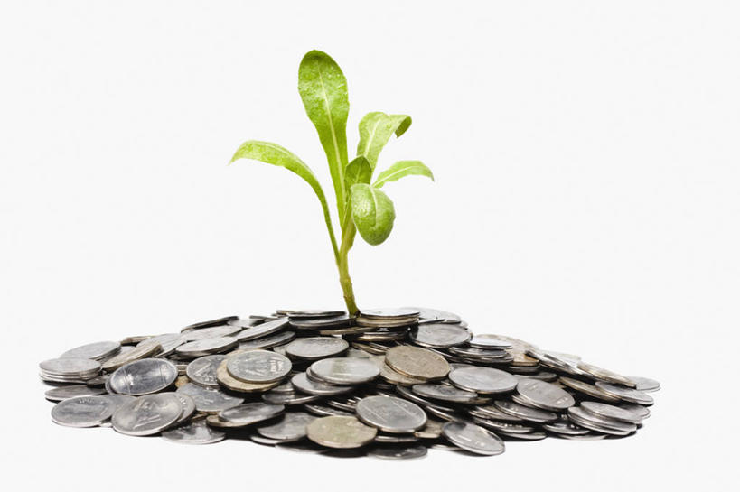 无人,横图,白色背景,赚钱,植物,叶子,许多,堆叠,丰富,很多,储蓄,财富,投资,摄影,生长,繁荣,想法,硬币,彩图,影棚拍摄