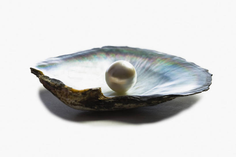 无人,横图,白色背景,美景,贝壳,景观,两个,自然,景色,财富,摄影,简单,自然风光,华贵,想法,彩图,影棚拍摄,魅力,贵重宝石