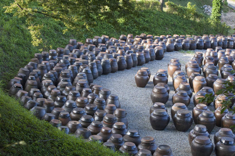 无人,竖图,俯视,室外,白天,草地,草坪,植物,道路,路,许多,阴影,朦胧,模糊,曲折,弯曲,光线,影子,陶瓷,小路,陶瓷制品,交通,很多,草,排列,绿色,阳光,容器,蜿蜒,储藏,缸,储存,摆列,彩图,高角度拍摄,布列,分列,贮存