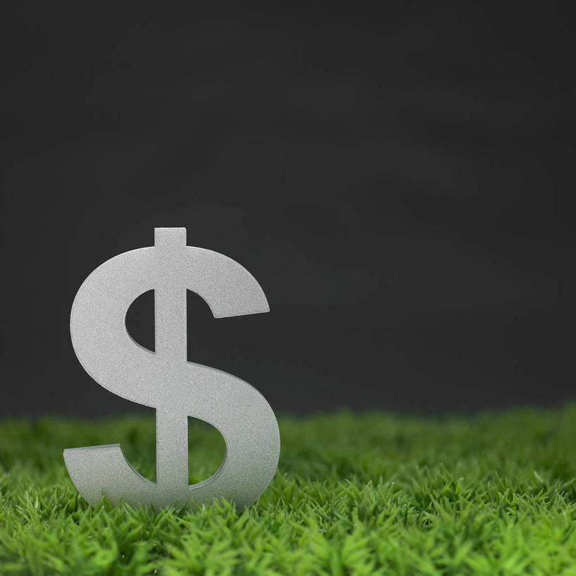 无人,竖图,室内,特写,白天,正面,草地,草坪,植物,阴影,黑色背景,反射,标志,文字,影子,标识,草,一个,绿色,摄影,影棚,单个,美元符号,彩图,影棚拍摄,拍摄