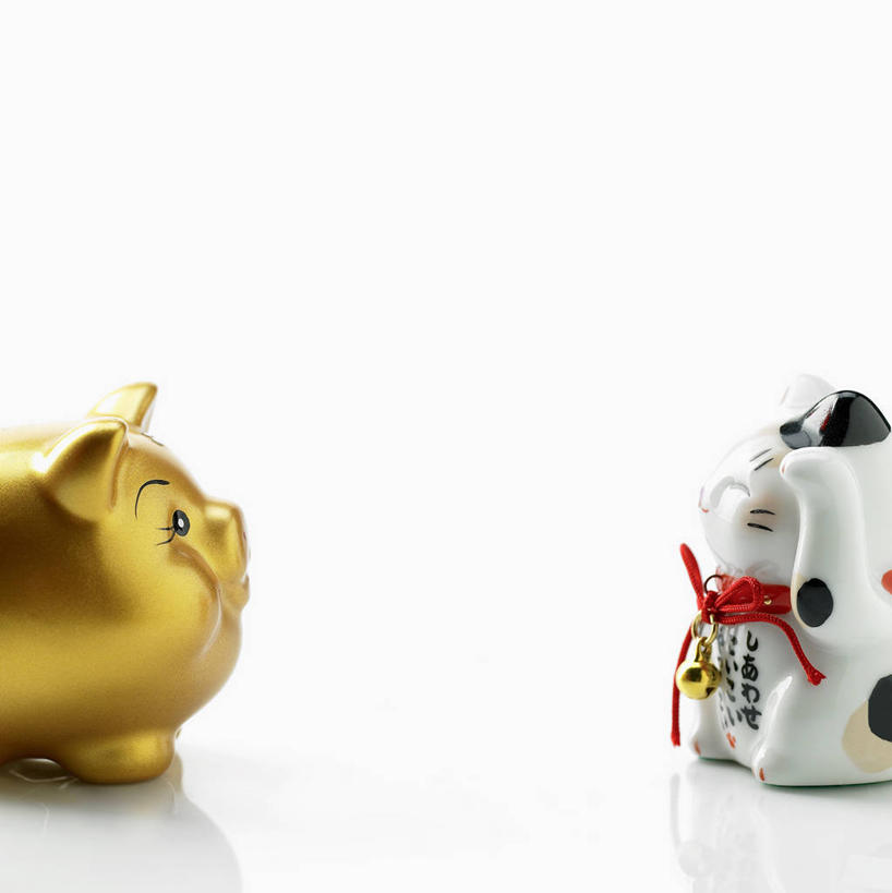 无人,竖图,室内,特写,白天,白色背景,正面,爱情,幸福,猪,静物,阴影,反射,瓷器,影子,招财猫,陶瓷制品,浪漫,一个,动物,容器,祈祷,祈福,金色,储蓄罐,器皿,家畜,恋爱,储蓄,存钱,许愿,金融,理财,摄影,牲畜,影棚,经济,单个,祈求,资金,存钱罐,存款,流通,贸易,贮钱罐,储钱罐,扑满,招财,招福,财源广进,财运,彩图,影棚拍摄,拍摄