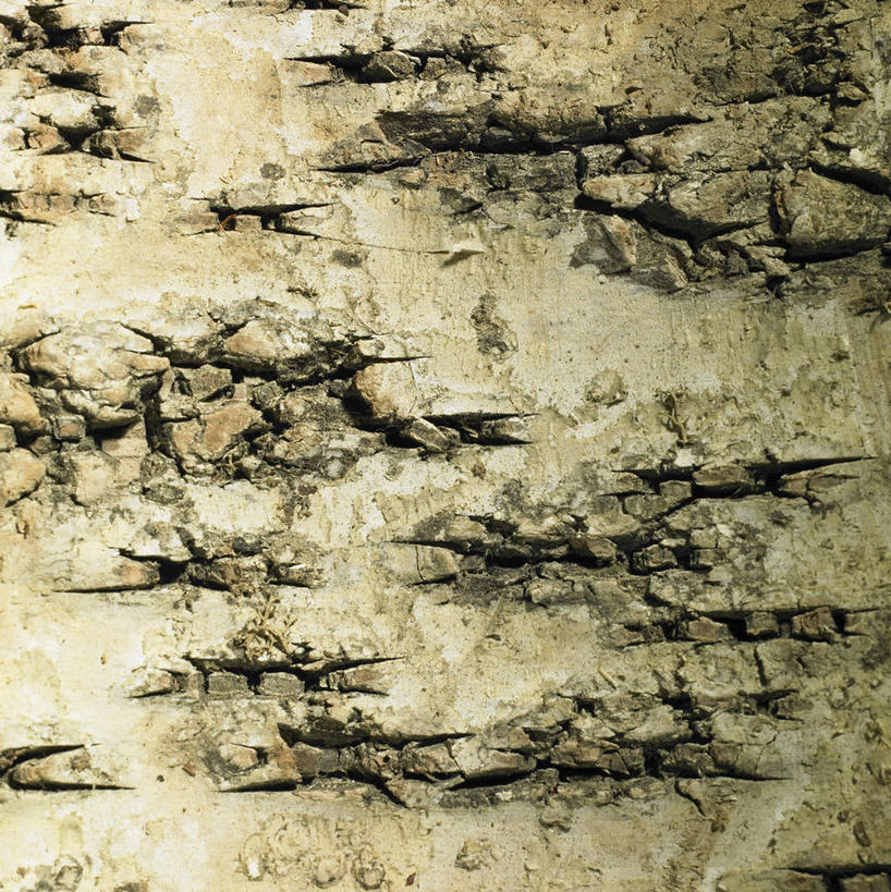 无人,竖图,室内,特写,白天,正面,微距,石头,静物,阴影,反射,石子,影子,石块,岩石,彩图,微距摄影