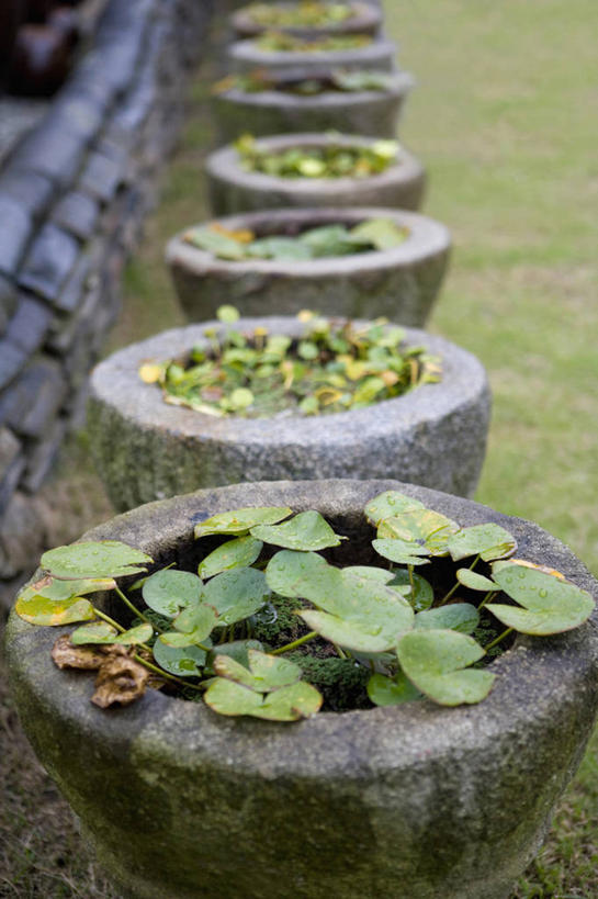 无人,竖图,俯视,室外,白天,草地,草坪,植物,一排,许多,阴影,整齐,光线,影子,陶瓷,陶瓷制品,很多,草,排列,绿色,阳光,容器,储藏,缸,储存,队列,彩图,高角度拍摄,贮存