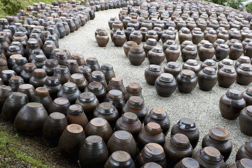 无人,横图,俯视,室外,白天,草地,草坪,植物,道路,路,一排,许多,阴影,整齐,并列,并排,光线,影子,陶瓷,小路,陶瓷制品,交通,很多,草,排列,绿色,阳光,容器,储藏,缸,储存,队列,平行,彩图,高角度拍摄,贮存