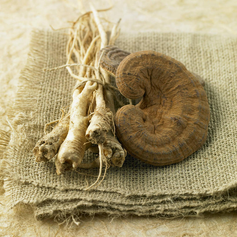 无人,竖图,俯视,室内,特写,白天,爱情,餐桌,桌子,灵芝,阴影,反射,影子,菌菇,褐色,菌类,一个,餐巾,单个,餐台,桔梗花,僧冠帽,真菌,柔顺,六角荷,永恒,梗草,悲哀,诚实,无望,药用菌,保洁方巾,口布,神芝,灵芝草,彩图,高角度拍摄,蓝钟花,菌灵芝