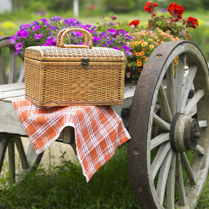 无人,竖图,室外,白天,正面,聚会,草地,草坪,植物,一辆,阴影,朦胧,模糊,盛开,反射,木制,篮子,推车,影子,坐垫,野餐,花蕾,车,草,花,花瓣,花朵,鲜花,一个,红色,绿色,紫色,木制品,手推车,交通工具,花苞,花蕊,单个,货车,小推车,载具,搬运车,野餐垫,野餐地毯,多功能毯,食物篮,野炊,彩图,平板车,野餐篮,手拉车