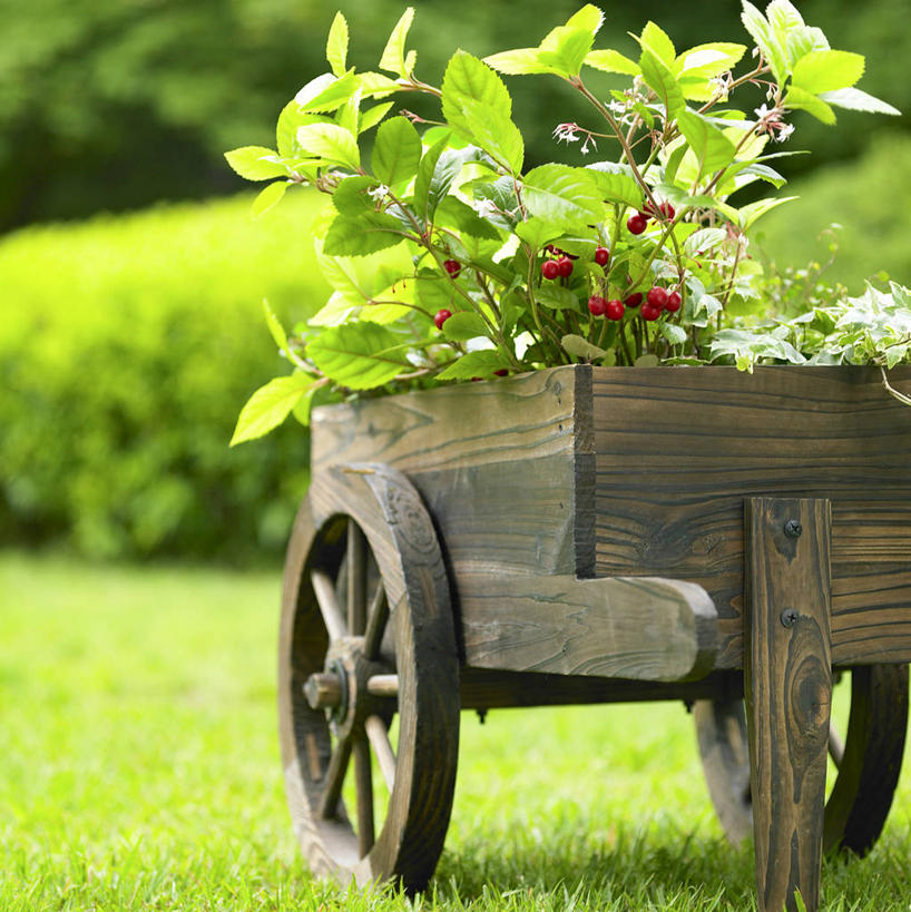 无人,竖图,室外,白天,正面,草地,草坪,植物,一辆,阴影,朦胧,模糊,光线,木制,盆栽,推车,影子,盆景,车,草,树,树木,绿色,阳光,自然,木制品,手推车,交通工具,生长,成长,货车,小推车,载具,搬运车,彩图,平板车,手拉车