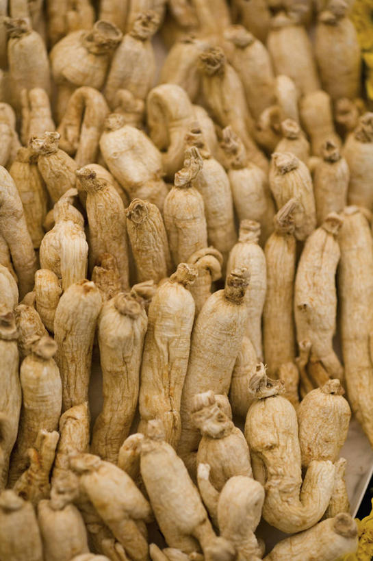 无人,竖图,俯视,室内,特写,白天,植物,人参,一堆,许多,阴影,堆叠,堆积,反射,影子,草药,药草,很多,中药,堆,药材,中草药,中药材,本草,百尺杵,海腴,皱面还丹,人衔,参,彩图,高角度拍摄