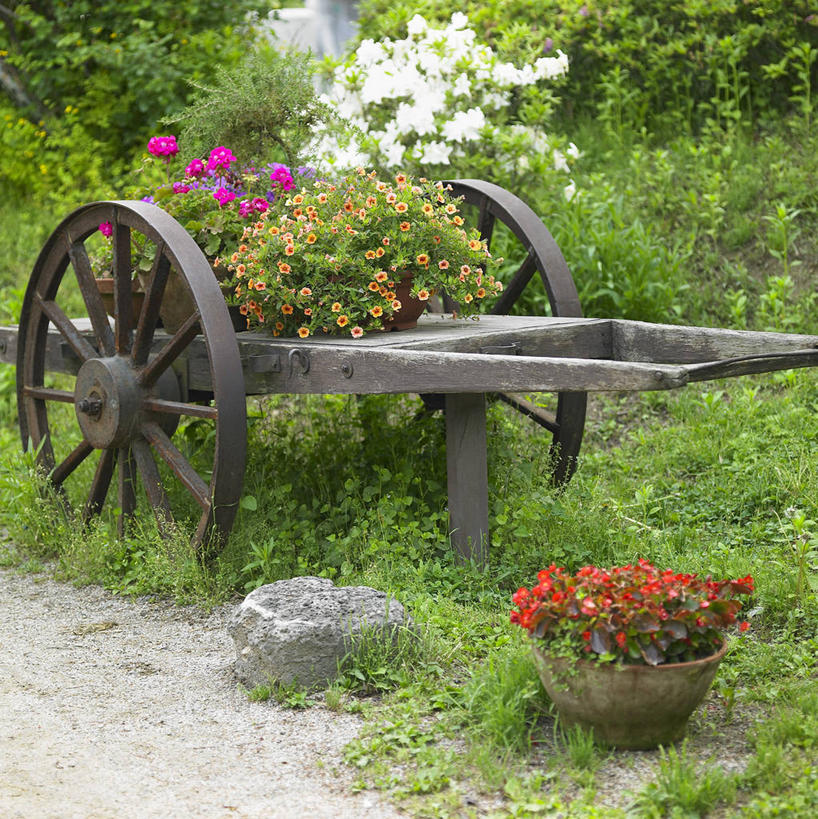 无人,竖图,室外,白天,正面,草地,草坪,植物,花盆,一辆,阴影,朦胧,模糊,盛开,光线,推车,影子,陶瓷,陶瓷制品,花蕾,车,草,花,花瓣,花朵,鲜花,树,树木,粉色,红色,绿色,阳光,自然,容器,手推车,交通工具,花苞,花蕊,生长,成长,储藏,货车,小推车,储存,载具,搬运车,彩图,平板车,贮存,手拉车