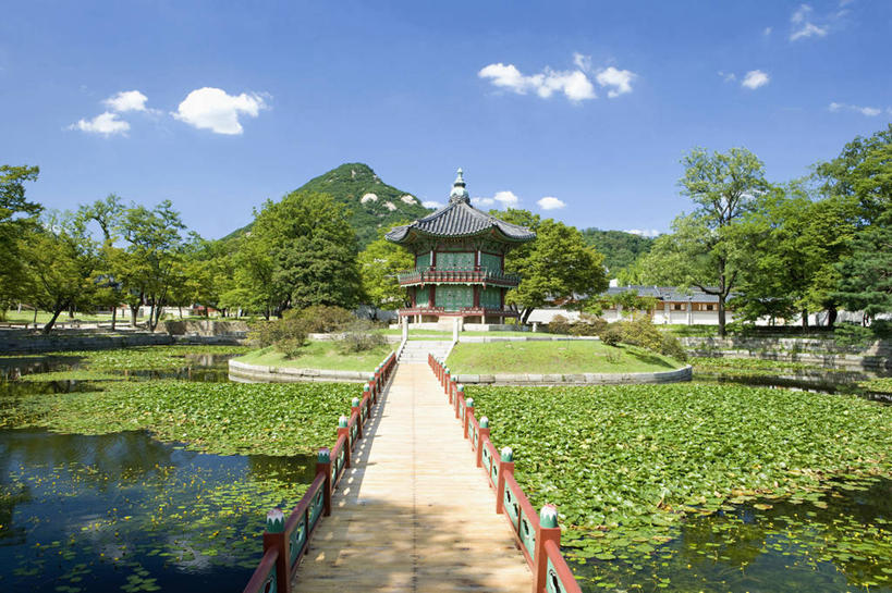 无人,宫殿,栏杆,横图,室外,白天,正面,消失点,旅游,度假,草地,草坪,名胜古迹,植物,标志建筑,地标,建筑,景福宫,首尔,汉城,韩国,亚洲,阴影,遗迹,光线,木板,瓦片,影子,柱子,亭子,屋顶,屋檐,池塘,水池,云,云朵,围栏,桥,浮萍,木桥,首都,云彩,顶棚,古迹,文物,娱乐,建设,古建筑,护栏,檐,栈桥,草,树,树木,蓝色,绿色,白云,倒影,蓝天,天空,阳光,自然,凉亭,天,享受,休闲,旅游胜地,放松,生长,晴朗,成长,人行桥,木板桥,倒映,水生植物,古文明,东亚,大韩民国,首尔市,首尔特别市,特别市,北阙,王宫,反照,晴空,彩图,没影点,灭点,青萍