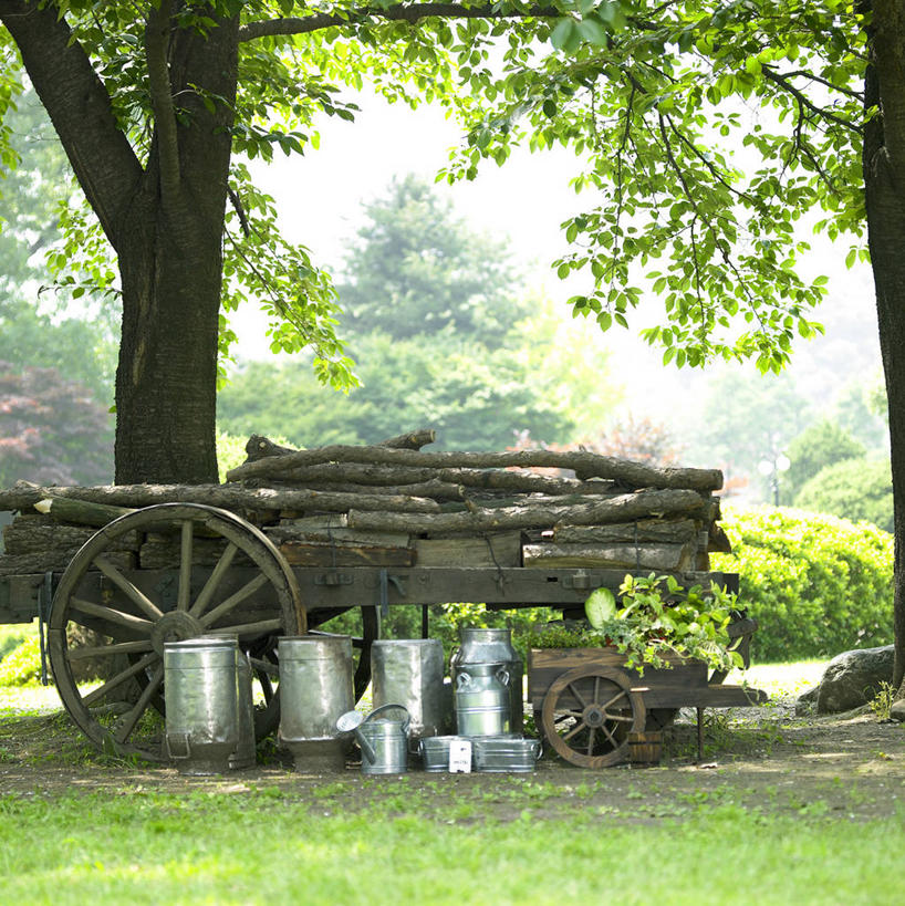 无人,竖图,室外,白天,正面,旅游,度假,草地,草坪,美景,植物,金属制品,一辆,阴影,朦胧,模糊,光线,金属,木制,罐子,推车,影子,景观,娱乐,车,草,树,树木,绿色,天空,阳光,自然,木制品,瓶子,手推车,交通工具,天,四个,享受,休闲,景色,放松,生长,成长,货车,小推车,自然风光,载具,搬运车,彩图,平板车,手拉车