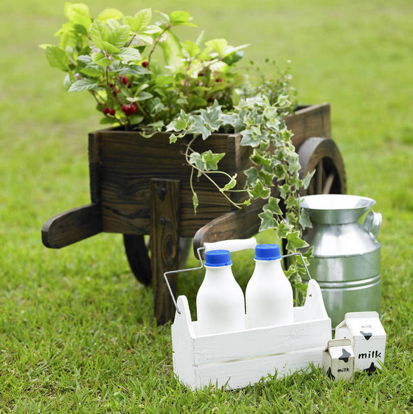 无人,竖图,俯视,室外,白天,草地,草坪,植物,金属制品,一辆,阴影,朦胧,模糊,光线,金属,木制,罐子,盆栽,推车,影子,盆景,车,玻璃制品,草,两个,一个,绿色,阳光,自然,玻璃瓶,木制品,瓶子,手推车,交通工具,生长,单个,成长,货车,小推车,载具,搬运车,彩图,高角度拍摄,平板车,手拉车