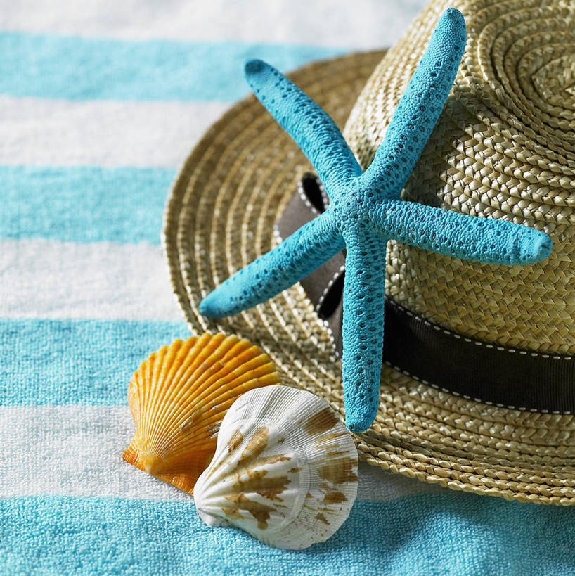 无人,竖图,俯视,室内,特写,白天,海星,贝壳,帽子,阴影,条纹,反射,草帽,纺织物,影子,海洋生物,两个,一个,蓝色,白色,动物,毛巾,清洁,生物,单个,保暖,透气,防水,一顶,储水,耐磨,吸水,棘皮动物门,贝类外壳,海螺壳,软体动物外壳,星鱼,彩图,高角度拍摄,海滩巾