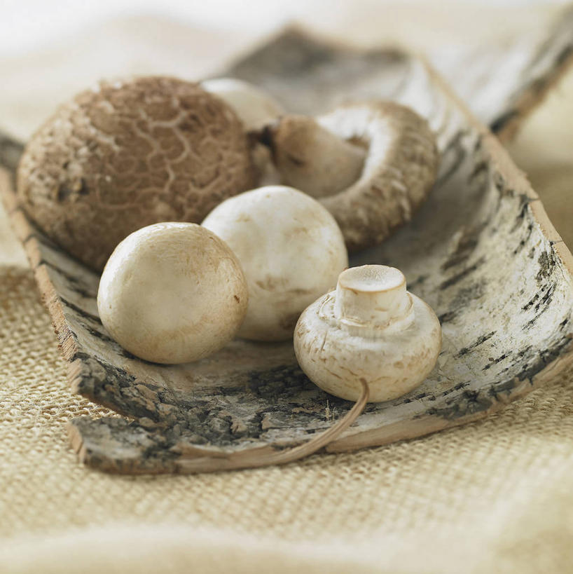 无人,竖图,俯视,室内,特写,白天,餐桌,桌子,蔬菜,餐具,许多,阴影,朦胧,模糊,新鲜,反射,碟子,盘,影子,菌菇,香菇,食品,很多,菌类,食物,盘子,碟,食用菌,有机食品,绿色食品,餐台,真菌,椎茸,彩图,高角度拍摄,平庄菇,香菌,香蕈