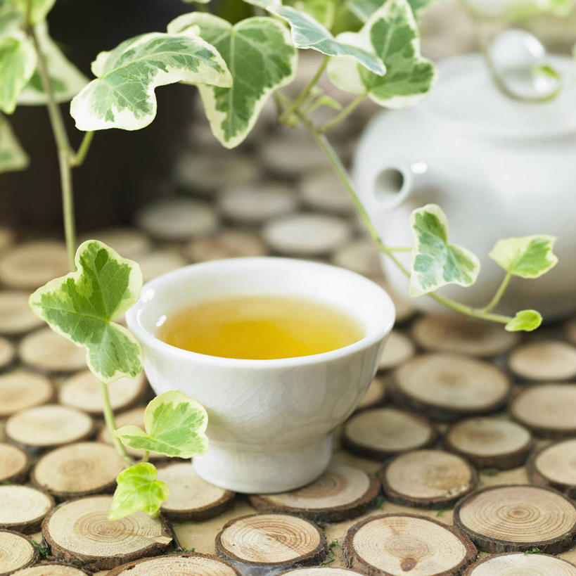 无人,方图,室内,白天,正面,幸福,茶,杯子,叶子,壶,陶瓷,茶叶,绿叶,陶瓷制品,饮品,一杯,娱乐,水壶,两个,茶壶,容器,水杯,花茶,享受,休闲,温馨,嫩叶,放松,乐趣,保健,养生,花草茶,舒适,香花茶,香片,熏花茶,叶,叶片,茶杯,彩图