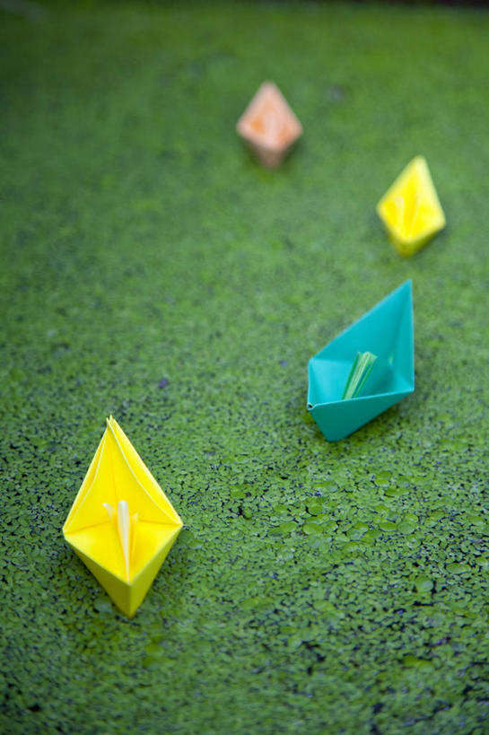 无人,竖图,俯视,室外,特写,白天,植物,船,叶子,四只,朦胧,模糊,艺术,折纸,纸艺,手工艺品,池塘,水池,绿叶,文化,粉色,黄色,蓝色,绿色,自然,纸制品,工艺品,嫩叶,生长,成长,高雅,纸船,工艺折纸,自信心,品位,叶,叶片,彩图,高角度拍摄