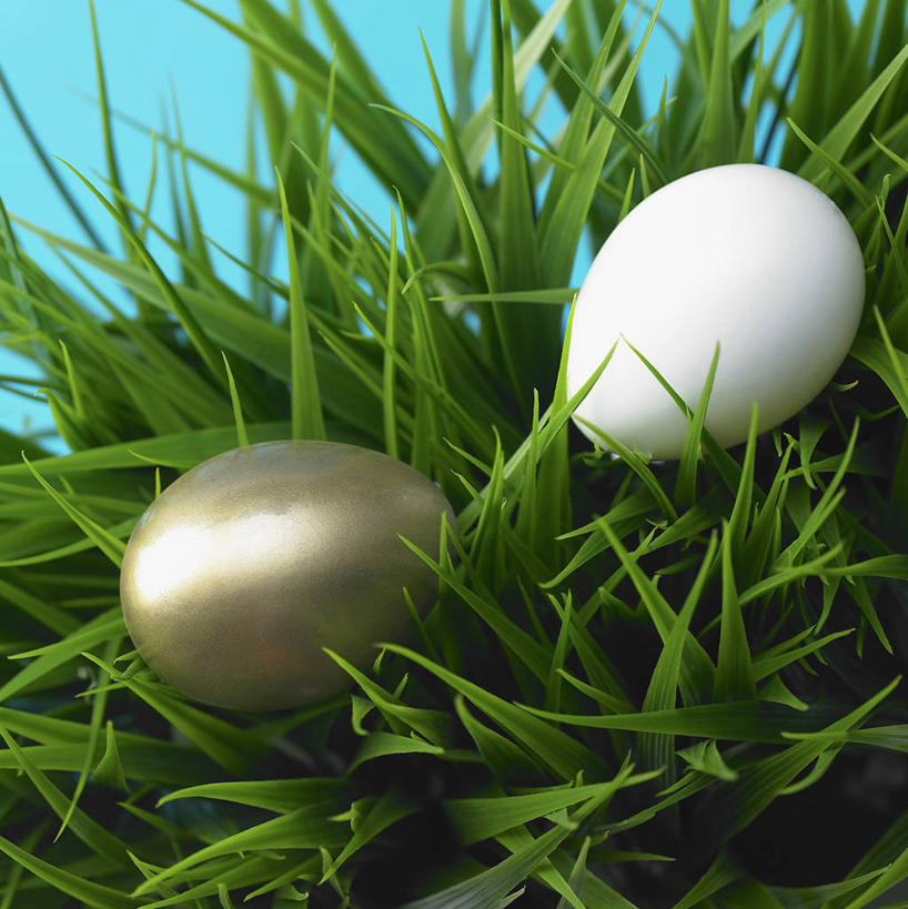 无人,竖图,室内,特写,白天,正面,草地,草坪,植物,阴影,蓝色背景,反射,影子,蛋,鸡蛋,草,两个,绿色,金融,理财,摄影,影棚,经济,金蛋,流通,贸易,草鸡蛋,卵,彩图,影棚拍摄,拍摄,本鸡蛋,笨鸡蛋,柴鸡蛋,山鸡蛋,土鸡蛋