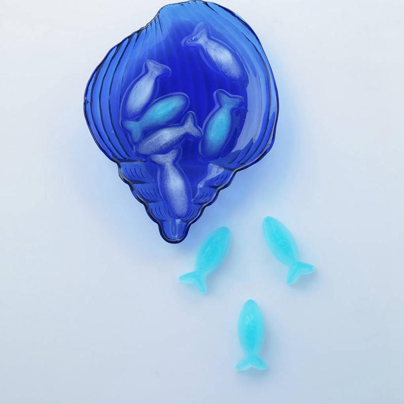 无人,竖图,俯视,室内,特写,白天,白色背景,静物,阴影,反射,影子,塑料,盒子,蓝色,容器,塑料制品,摄影,影棚,储藏,储存,彩图,高角度拍摄,影棚拍摄,拍摄,冰格,制冰盒,贮存