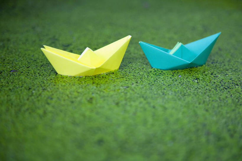 无人,横图,室外,特写,白天,正面,湖,湖泊,美景,水,植物,船,阴影,艺术,光线,影子,折纸,纸艺,手工艺品,湖面,景观,水流,水面,浮萍,文化,黄色,蓝色,绿色,阳光,自然,纸制品,工艺品,湖水,两只,景色,生长,成长,高雅,自然风光,水生植物,纸船,工艺折纸,自信心,品位,彩图,青萍