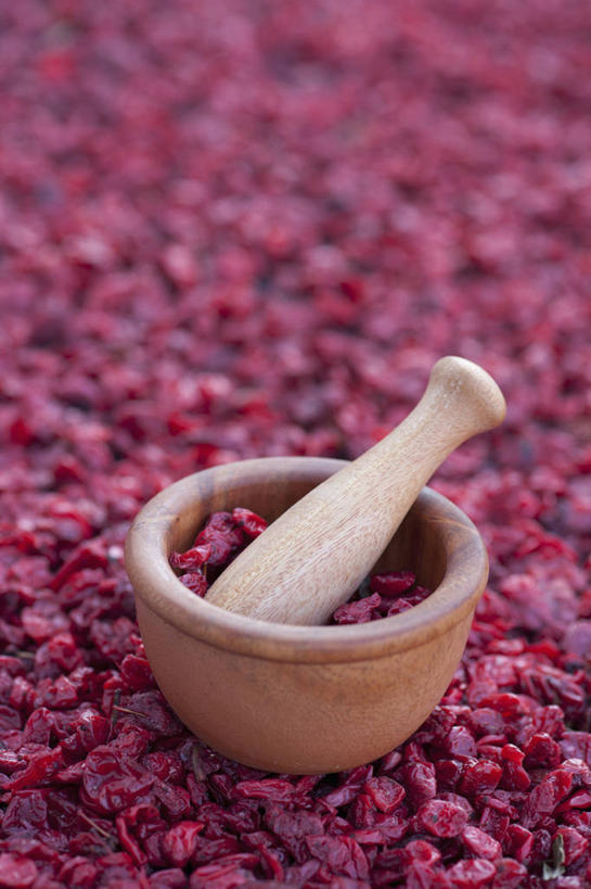 无人,竖图,俯视,室外,特写,白天,植物,许多,朦胧,模糊,木制,果实,草药,药草,很多,中药,一个,红色,木制品,器皿,单个,枸杞子,枸杞,研磨,臼杵,药材,中草药,研杵,中药材,本草,研钵,臼,苟起子,枸杞豆,枸杞果,血杞子,彩图,高角度拍摄