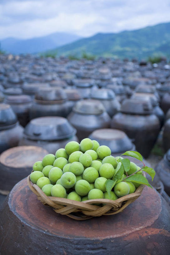 无人,交叉,竖图,俯视,室外,白天,美景,森林,山,山脉,树林,植物,竹子,李子,水果,叶子,一堆,许多,阴影,堆叠,堆积,竹制,朦胧,模糊,新鲜,编织,光线,篮子,影子,景观,山峰,云,云朵,生食,食品,果实,绿叶,山峦,很多,云彩,树,树木,食物,一个,蓝色,绿色,白云,蓝天,天空,阳光,自然,容器,竹篮,群山,天,嫩叶,景色,有机食品,绿色食品,生长,晴朗,单个,成长,储藏,竹条,堆,交织,竹制品,储存,自然风光,穿插,布拉斯李,黄香李,坛子,叶,叶片,晴空,彩图,高角度拍摄,贮存