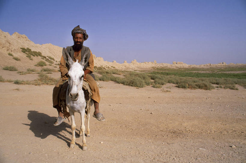 成年人,一个人,横图,阿富汗,亚洲,仅一个男性,墙,运输,摄影,伊斯兰教,中东,中亚,要塞,驴子,男人,彩图