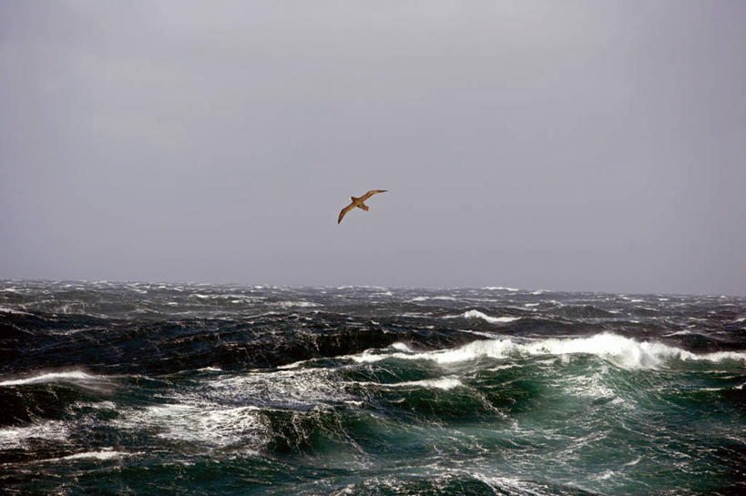 无人,横图,室外,探险,南极,冰山,暴风雨,破坏,绿色,波浪,摄影,南极洲,冒险,彩图,半岛
