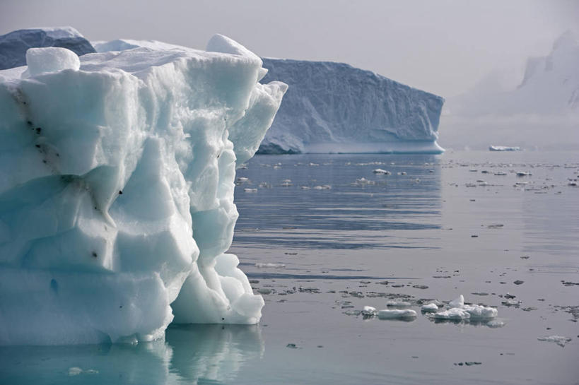 无人,病人,横图,室外,冰山,海洋,海鸟,企鹅,野生动物,鸟类,冰,小鸟,白色,自然,动物,摄影,气象,脚蹼,疾病,气候,南极洲,病患,冰河,皮肤病,巴布亚企鹅,南极半岛,白化病,患者,就医者,彩图,海港,西南极洲,半岛,人老心不老,南冰洋