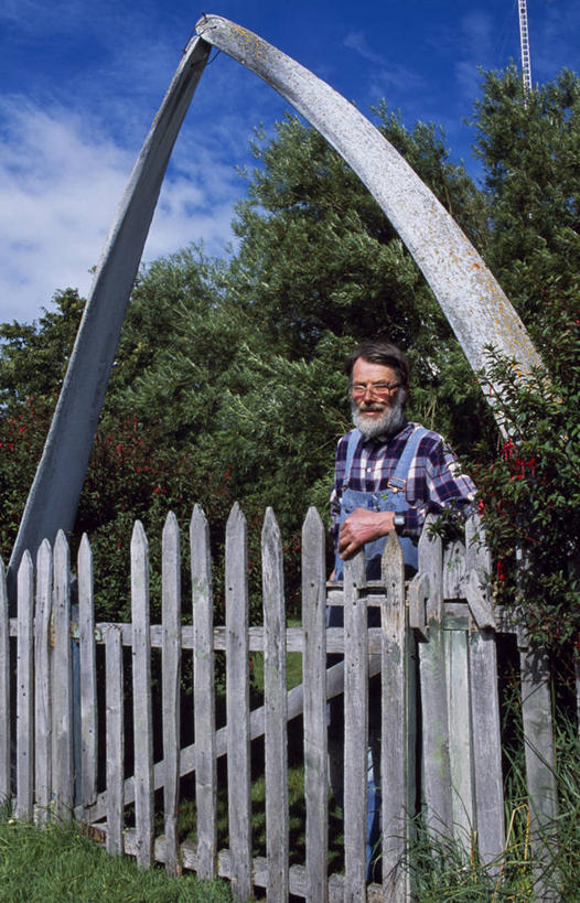 成年人,一个人,家庭,农民,农场,竖图,阿根廷,仅一个男性,大门,篱笆,拱门,骨头,工人,南美,摄影,鲸,火地群岛,男人,员工,彩图,匠人,劳动者,体力工