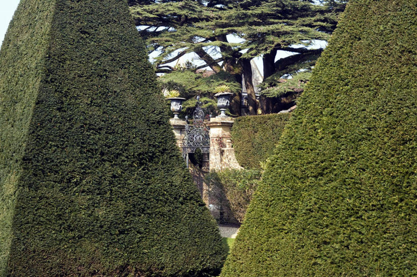 无人,博物馆,横图,室外,旅游,植物,建筑,英国,欧洲,正装,房屋,首都,宏伟,历史,英格兰,地标建筑,夏天,摄影,复杂,住房,华贵,英国文化,多塞特郡,彩图,旅行,西南英格兰,上层阶级,景观设计