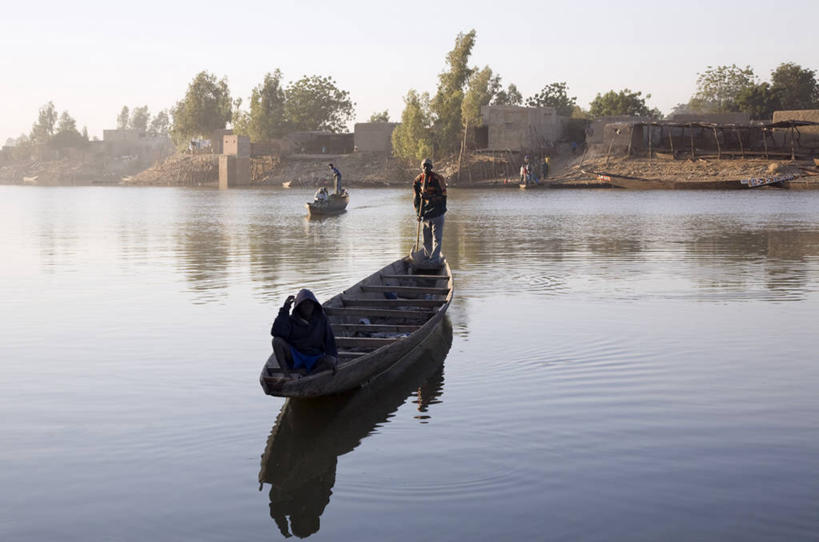 无人,竖图,室外,快乐,植物,英国,欧洲,霜,英格兰,藏红花,草,花,紫色,平原,春天,季节,摄影,保护,环境,番红花,早晨,清新,多塞特郡,西红花,彩图,西南英格兰,郊野公园