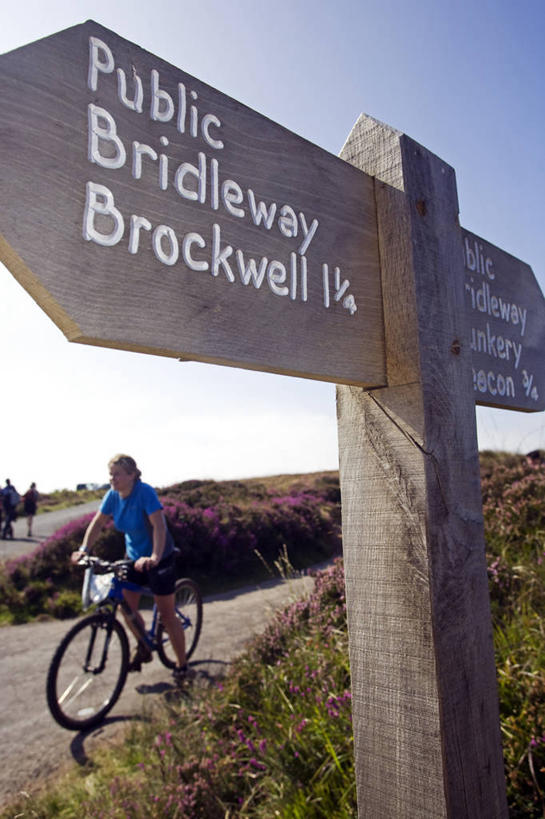 成年人,一个人,竖图,室外,沙漠,日光,非洲,马里,仅一个男性,阴影,沙子,头巾,头饰,骆驼,衣服,动物,运输,摄影,伊斯兰教,西非,男人,彩图,旅行,传统文化,图阿雷格人,游牧民族