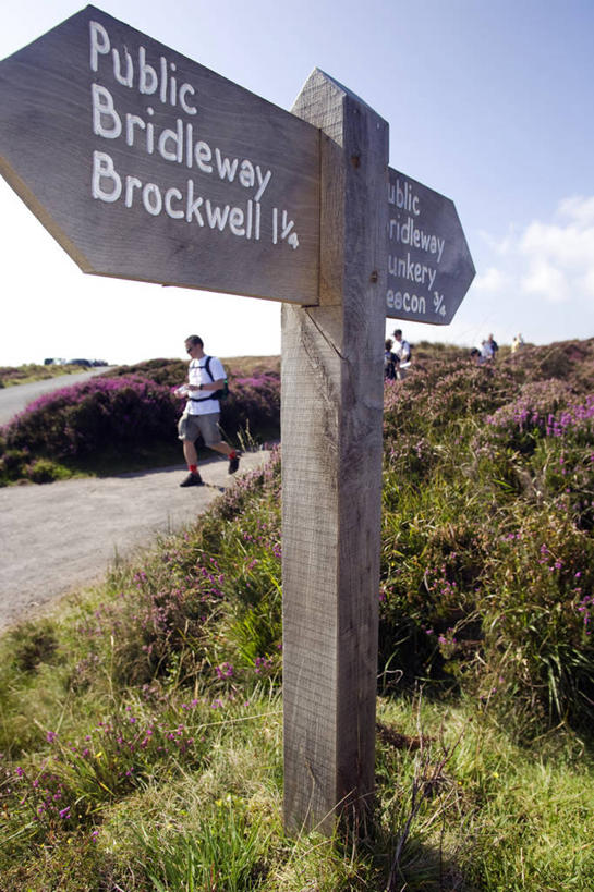 成年人,一个人,竖图,室外,沙漠,日光,非洲,马里,仅一个男性,阴影,沙子,头巾,头饰,骆驼,衣服,动物,运输,摄影,伊斯兰教,西非,男人,彩图,旅行,传统文化,图阿雷格人,游牧民族