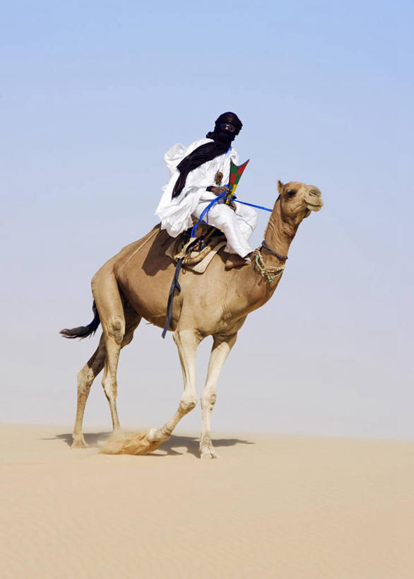 成年人,一个人,竖图,室外,沙漠,日光,非洲,马里,仅一个男性,阴影,沙子,头巾,头饰,骆驼,衣服,动物,运输,摄影,伊斯兰教,西非,男人,彩图,旅行,传统文化,图阿雷格人,游牧民族