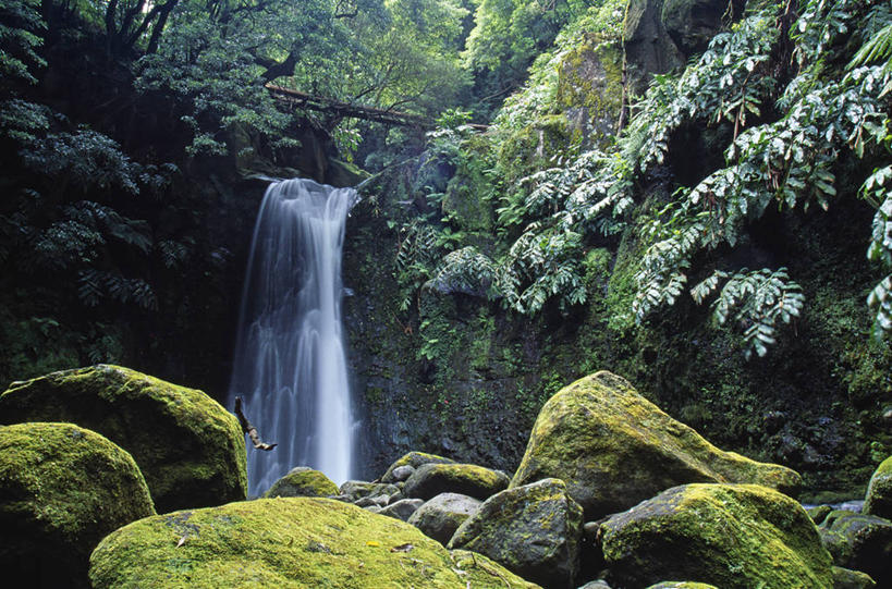 无人,吸烟,横图,室外,瀑布,森林,树林,植物,西班牙,欧洲,美国,绿色,大西洋,摄影,亚速群岛,大西洋群岛,天堂镇,彩图,白内障