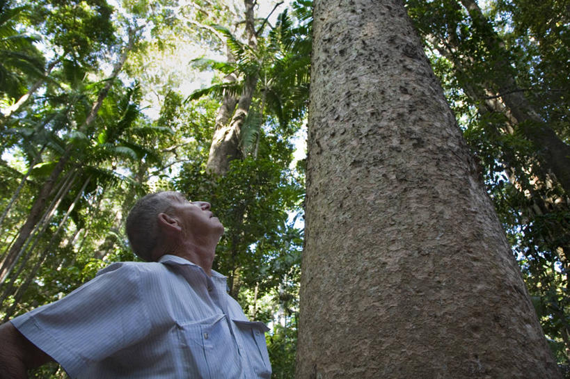 无人,横图,消失点,商务,旅途,路,铁路,火车,车站,非洲,毛里塔尼亚,金属,商品,轨道,交通,铁轨,车厢,容器,工业,运输,摄影,商人,彩图,旅行,商用车