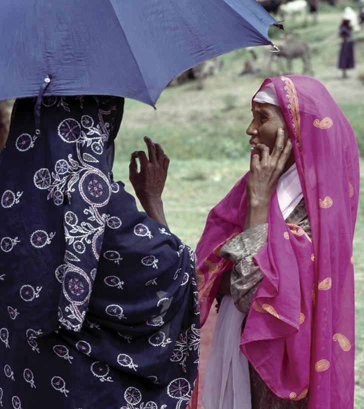 成年人,两个人,说,竖图,室外,讨论,满意,非洲,埃塞俄比亚,伞,头巾,头饰,树荫,市场,热,粉色,发饰,摄影,非洲文化,交流,女人,非洲人,沟通,讲话,交谈,商讨,说话,谈话,彩图,传统服装,传统文化,街市
