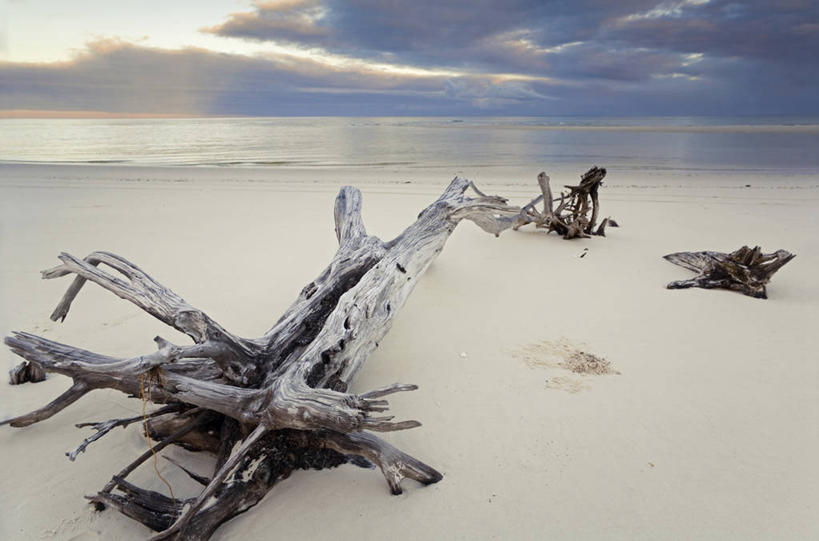 成年人,一个人,横图,室外,运动,澳大利亚,仅一个男性,沙子,地形,历史,蓝色,天空,摄影,国家公园,清单,昆士兰州,弗雷泽岛,男人,钓竿,渔线轮,海滩,休闲活动,彩图,钓鱼,旅行