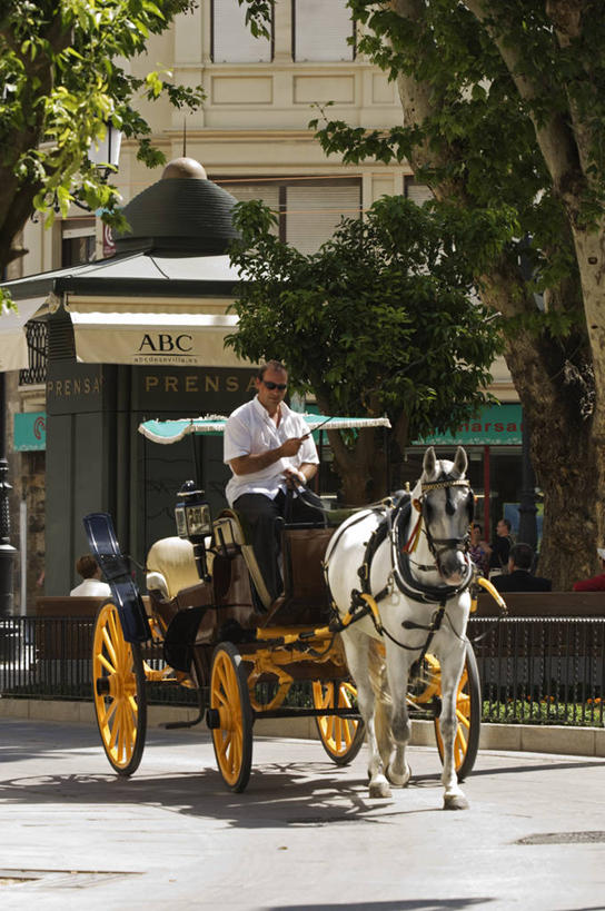 成年人,一个人,司机,竖图,旅游,出租车,马,日光,西班牙,欧洲,仅一个男性,推车,马车,动物,社区,运输,摄影,安达路西亚,塞维尔,男人,彩图,旅行