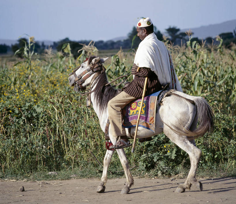成年人,一个人,横图,马,非洲,埃塞俄比亚,仅一个男性,骑马,骑,家畜,运输,摄影,小马,男人,彩图,传统服装