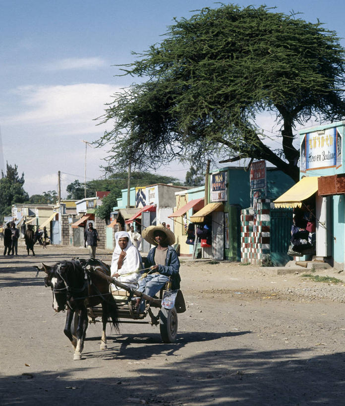 一个人,农民,农场,横图,室外,农业,农作物,非洲,埃塞俄比亚,田地,谷类,摄影,收获,小马,碎屑,非洲文化,驴子,彩图,传统文化