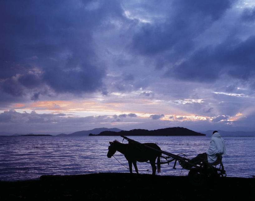 一个人,农民,农场,横图,室外,农业,农作物,非洲,埃塞俄比亚,田地,谷类,摄影,收获,小马,碎屑,非洲文化,驴子,彩图,传统文化