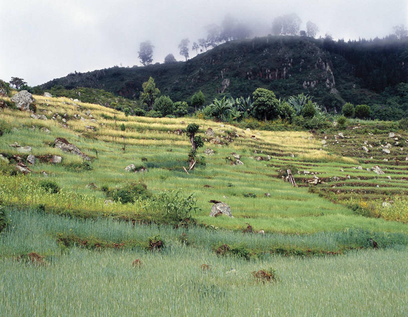 一个人,家,农场,横图,非洲,埃塞俄比亚,房屋,屋顶,屋子,草屋,乡村,顶棚,住宅,茅草屋,摄影,住房,非洲文化,彩图,房子,茅舍,茅屋,小屋,传统文化
