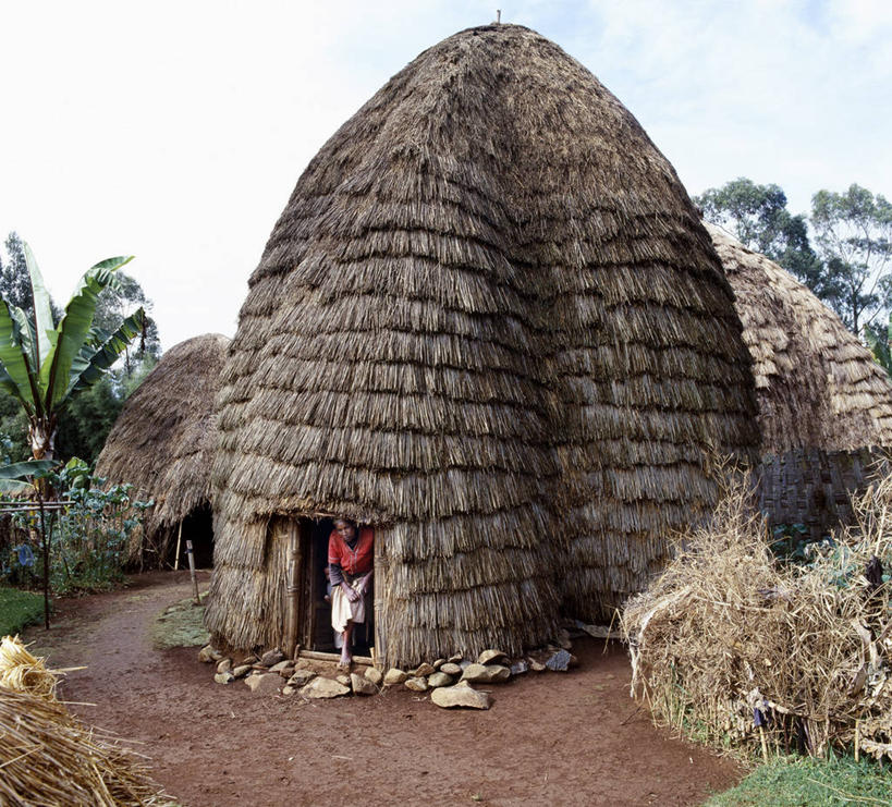 一个人,家,农场,横图,非洲,埃塞俄比亚,房屋,屋顶,屋子,草屋,乡村,顶棚,住宅,茅草屋,摄影,住房,非洲文化,彩图,房子,茅舍,茅屋,小屋,传统文化