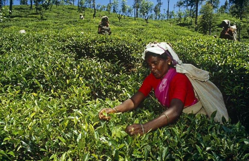 无人,横图,室外,河流,日落,水,船,尼罗河,非洲,苏丹,黄昏,运输,摄影,渡轮,四驱车,彩图,旅行,横越