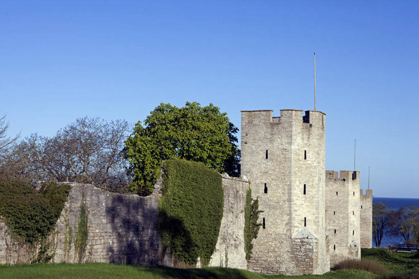 无人,竖图,城市,瑞典,欧洲,城堡,岛,围墙,中世纪,历史,城墙,地标建筑,力量,摄影,保护,斯堪的纳维亚,要塞,斯堪狄纳维亚半岛,维斯比,彩图,旅行,波罗的海三国,传统文化,联合国教科文组织