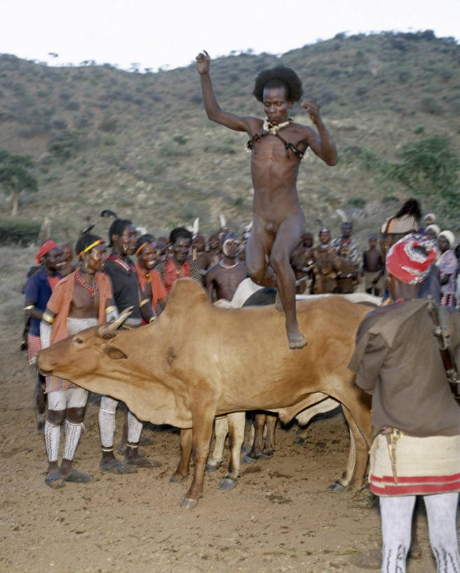 竖图,非洲,埃塞俄比亚,摄影,瘤牛,彩图,传统服装,成人仪式