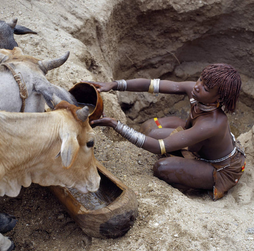 成年人,妻子,横图,裙子,水,牛,非洲,埃塞俄比亚,皮革,饮料,摄影,井,女人,女性,彩图,传统服装,游牧民族