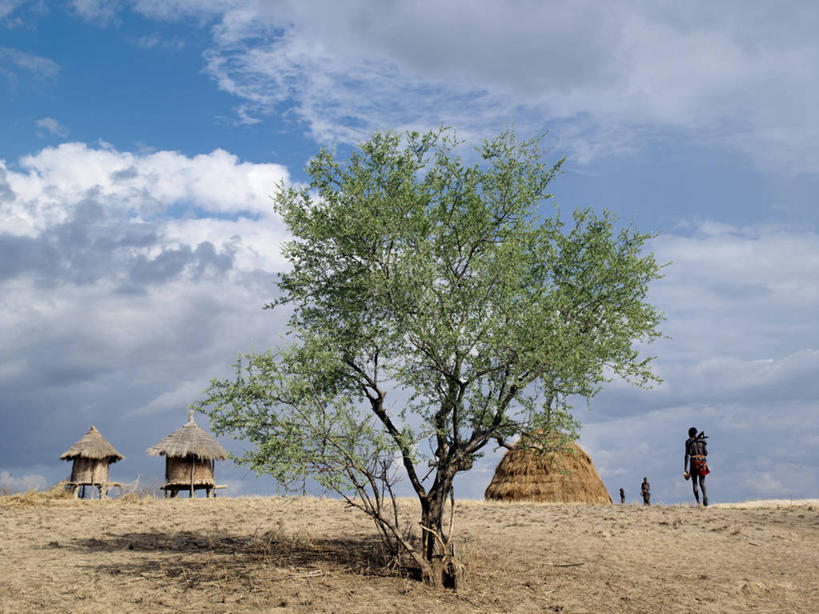 无人,农场,横图,室外,白天,农业,埃塞俄比亚,房屋,工艺品,摄影,谷仓,彩图,小屋,传统文化