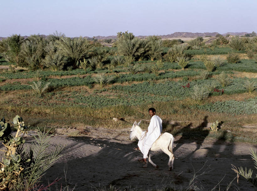 成年人,一个人,横图,室外,农业,水,尼罗河,苏丹,仅一个男性,热,饮用水,冷饮,摄影,伊斯兰教,灌溉设备,男人,彩图,独处